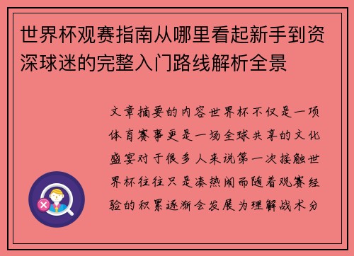世界杯观赛指南从哪里看起新手到资深球迷的完整入门路线解析全景
